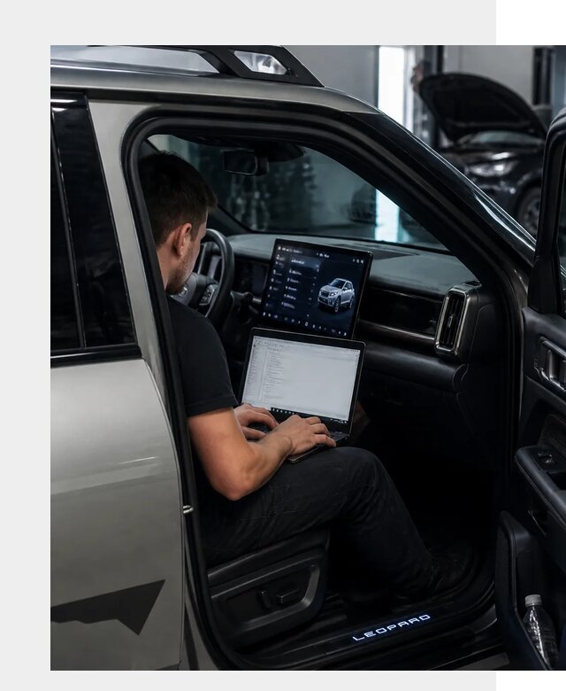 Русификация BYD Leopard 3 в Щекине по цене от 20481 р. | ФастМобиль-Екн