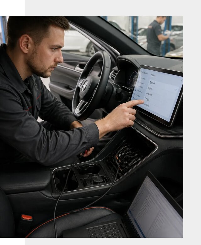 Профессиональная русификация BYD SONG Plus в Щекине